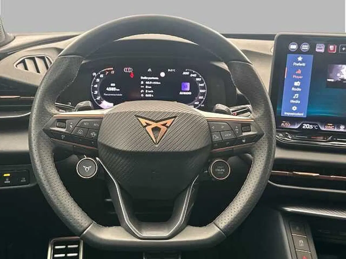 Cupra Terramar usata a Roma (9)
