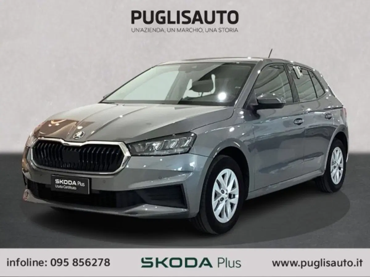 Skoda Fabia usata a Catania (3)