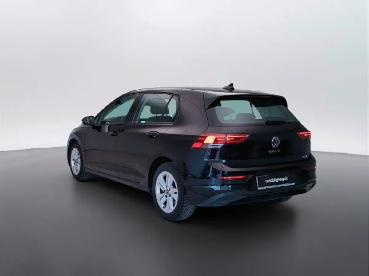 Volkswagen Golf usata a Teramo (7)