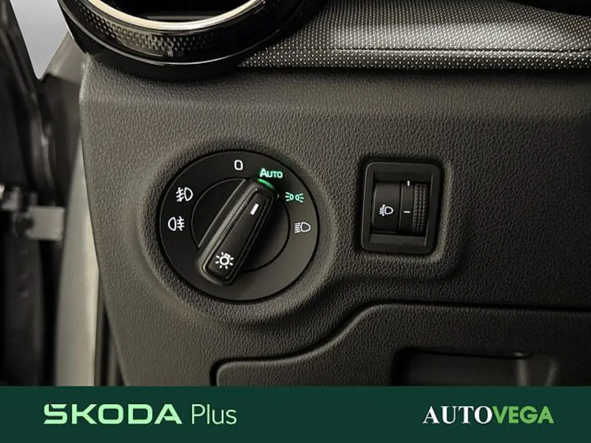 Skoda Fabia usata a Vicenza (16)