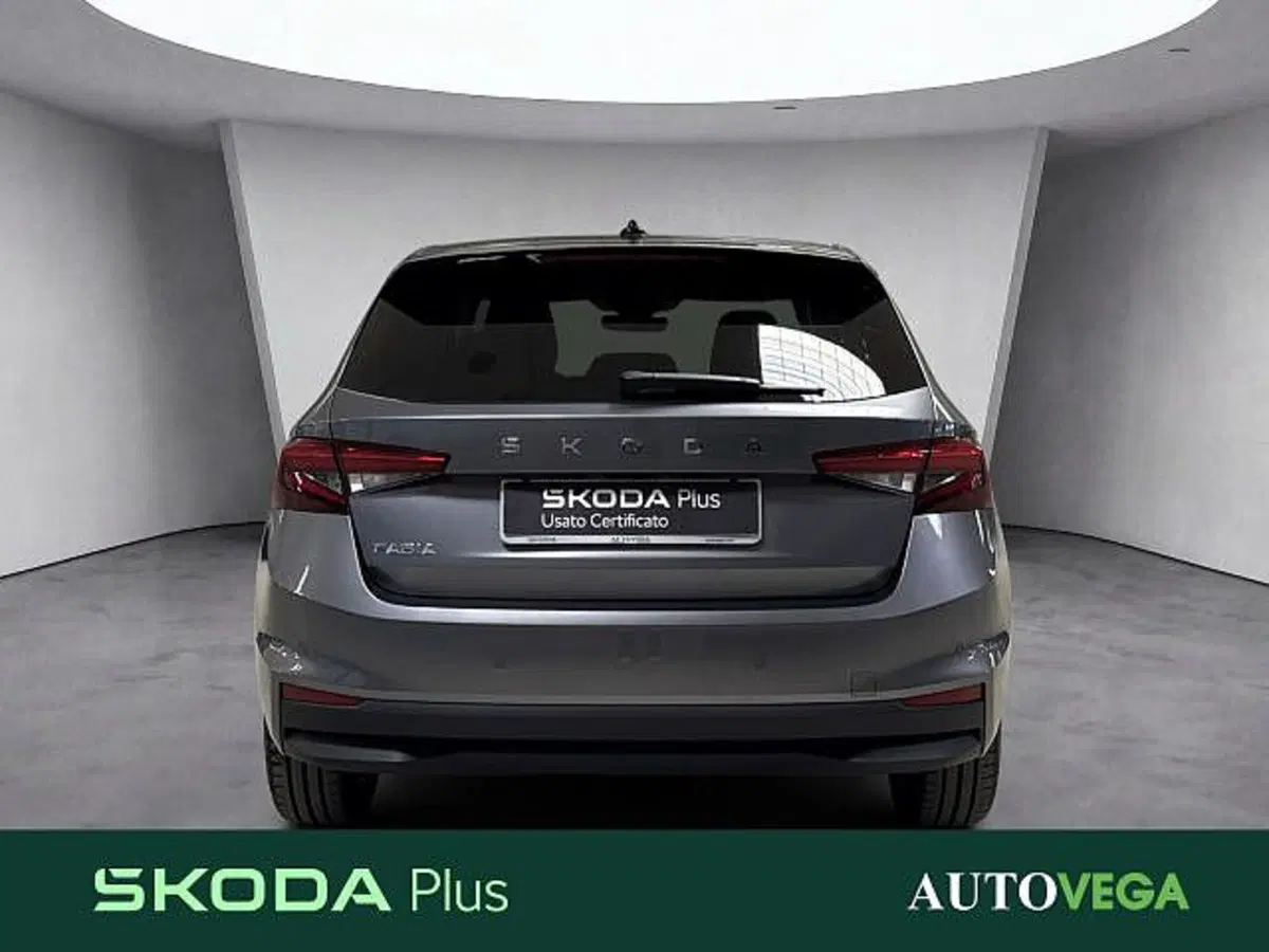 Skoda Fabia usata a Vicenza (5)