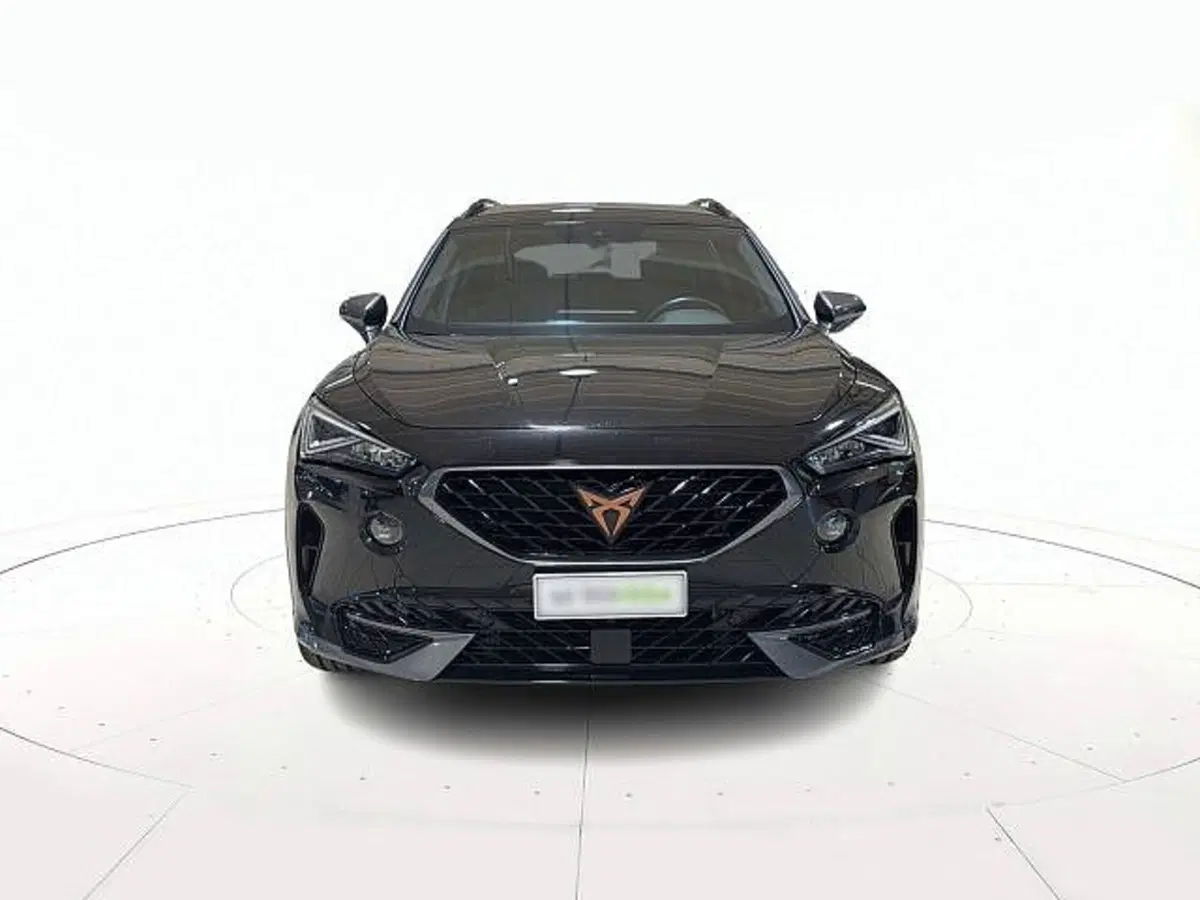 Cupra Formentor usata a Vicenza (2)