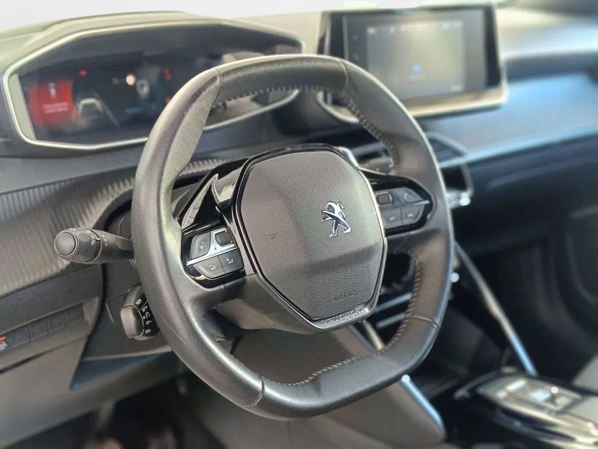 Peugeot 2008 usata a Ascoli Piceno (16)