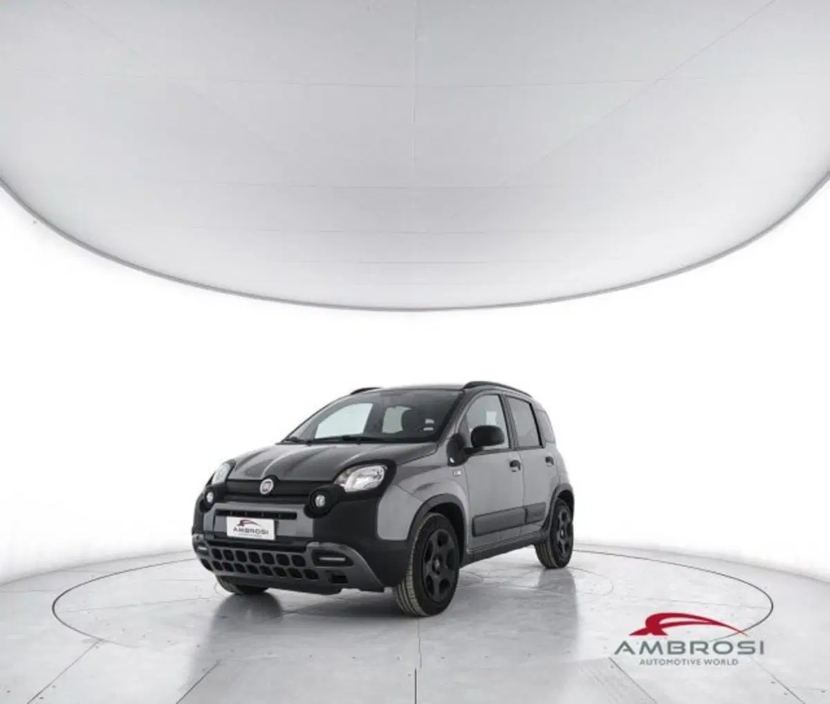 Fiat Panda usata a Perugia