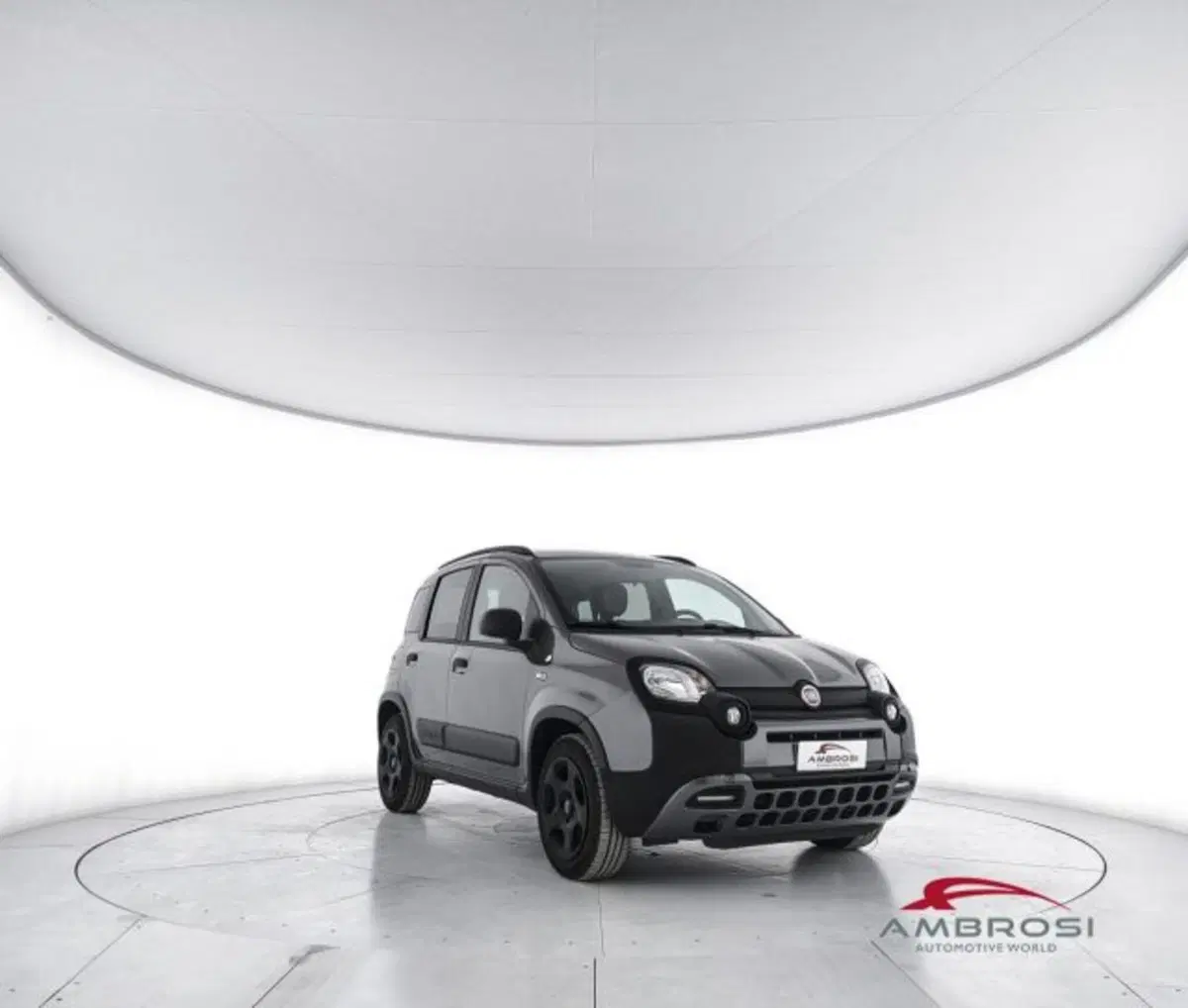 Fiat Panda usata a Perugia (2)