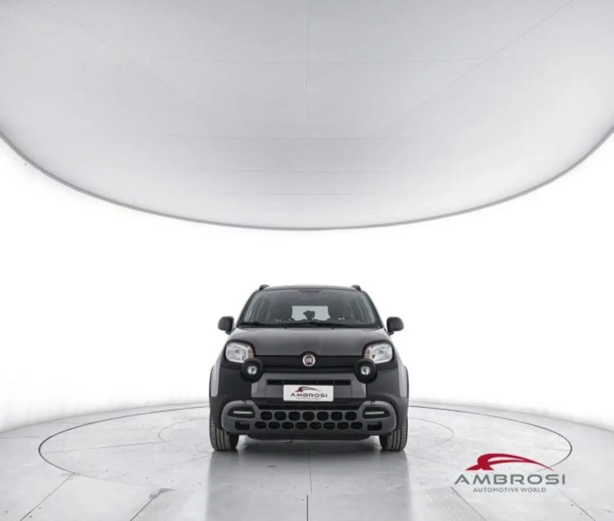 Fiat Panda usata a Perugia (5)