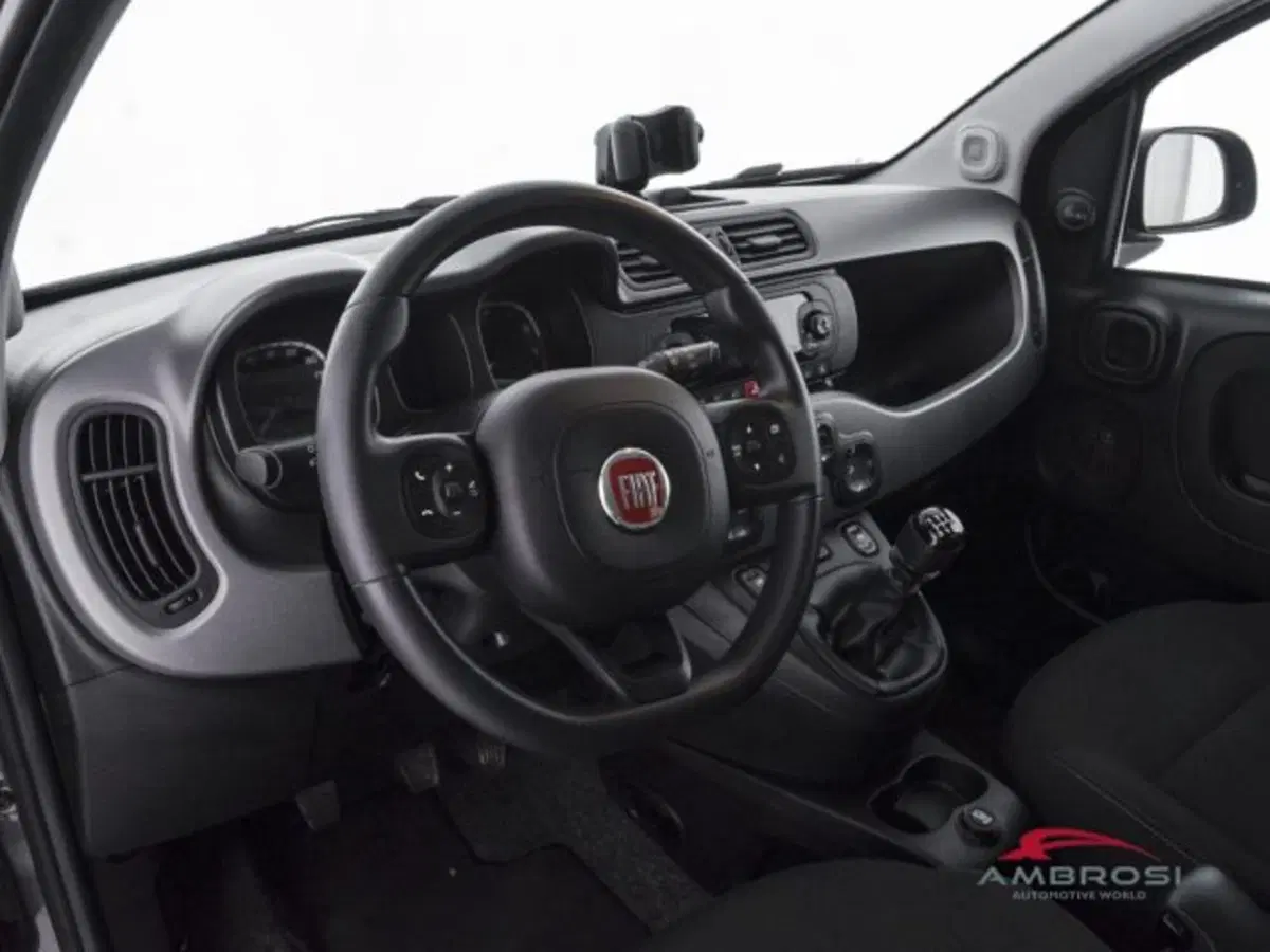 Fiat Panda usata a Perugia (8)