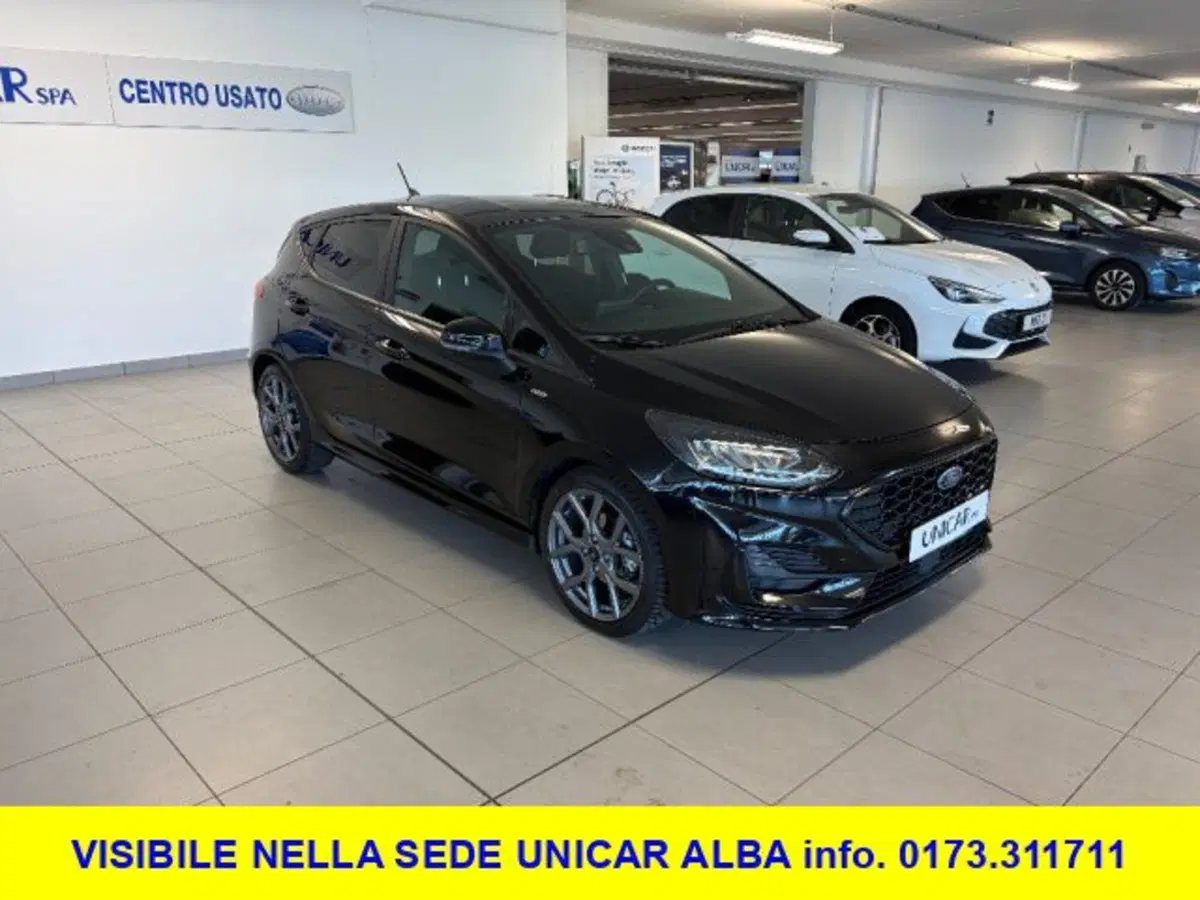 Ford Fiesta usata a Cuneo (2)