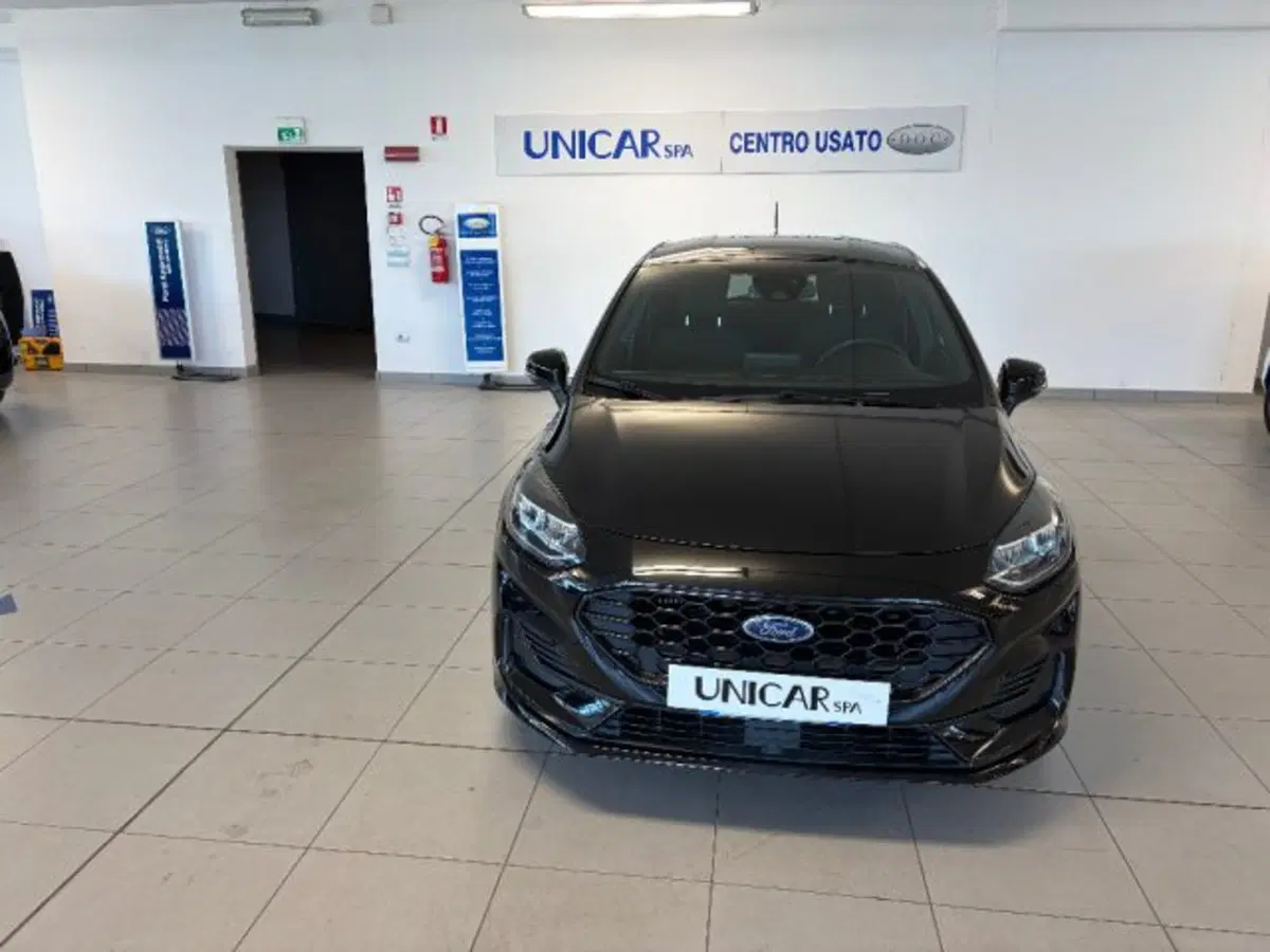 Ford Fiesta usata a Cuneo (3)