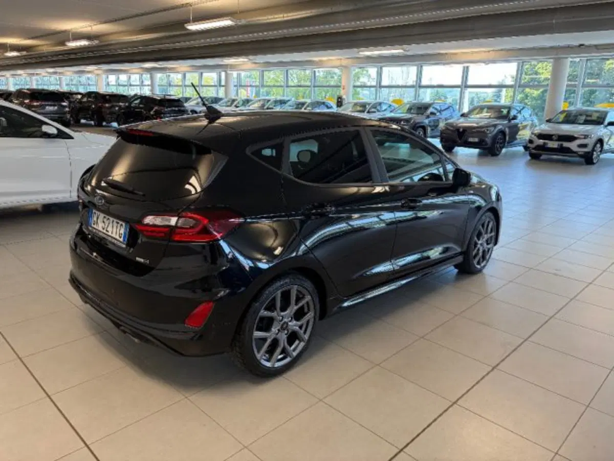 Ford Fiesta usata a Cuneo (4)