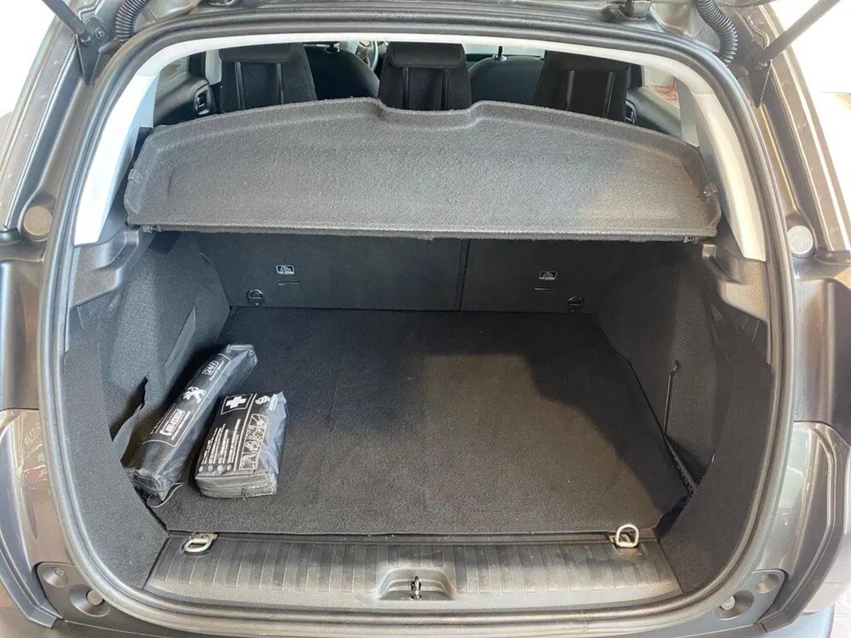 Peugeot 2008 usata a Torino (9)