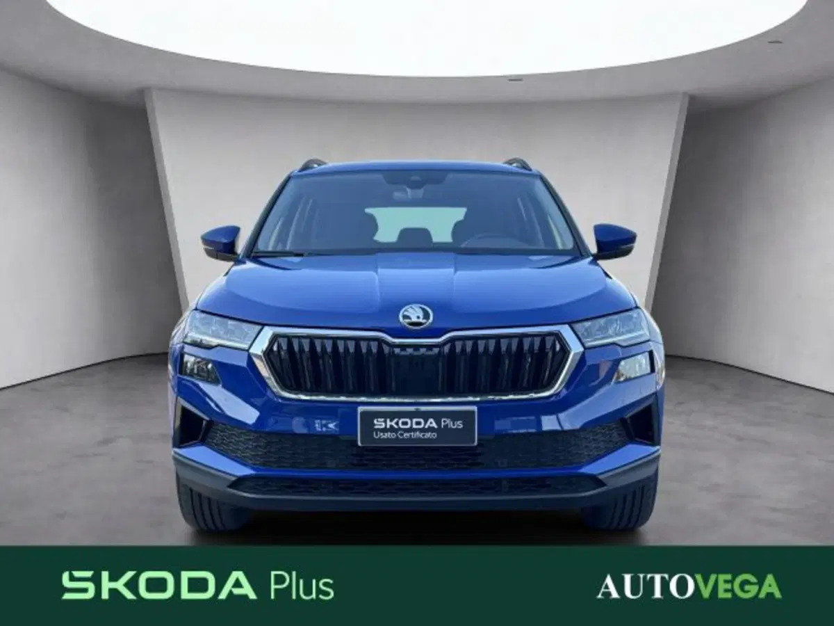 Skoda Karoq usata a Vicenza (2)