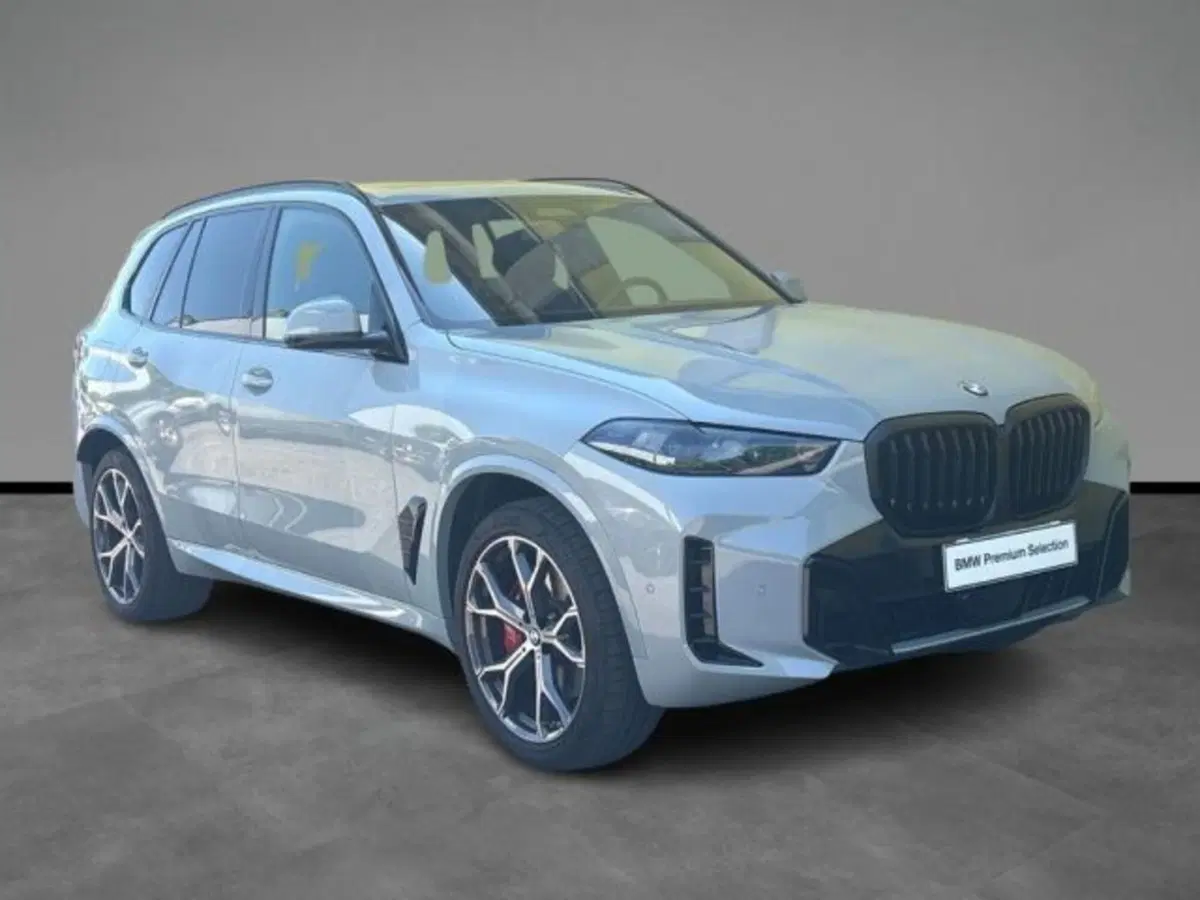BMW X5 usata a Verona (17)
