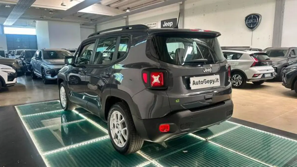 Jeep Renegade usata a Reggio Emilia (4)