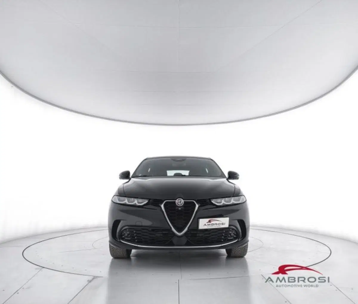Alfa Romeo Tonale usata a Perugia (5)