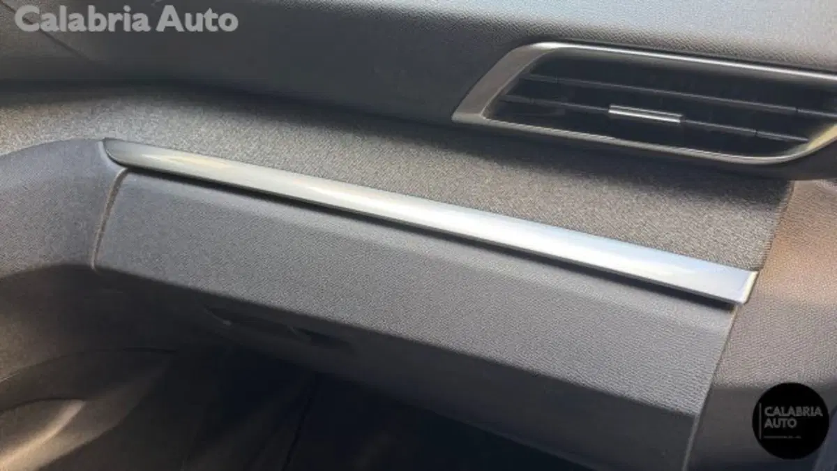 Peugeot 3008 usata a Reggio Calabria (16)