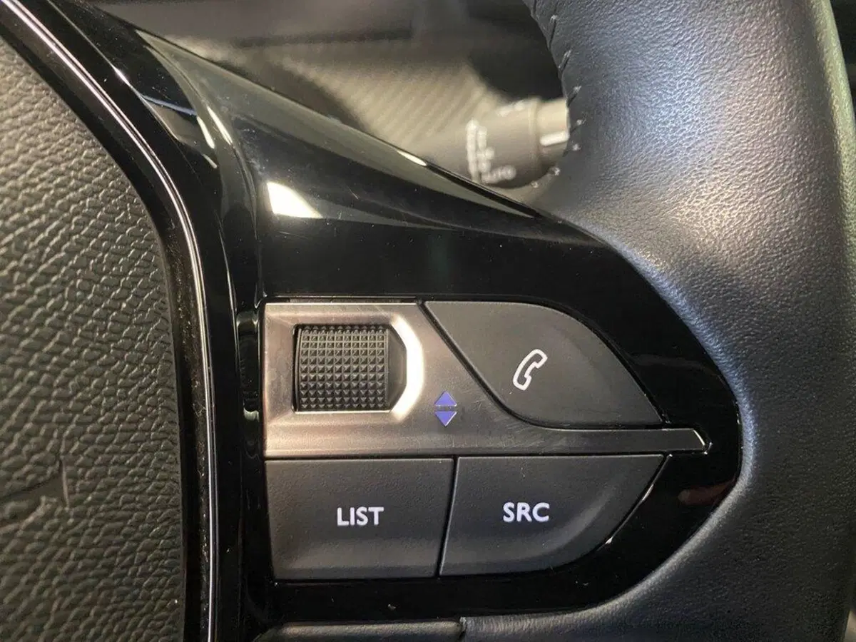 Peugeot 2008 usata a Torino (14)