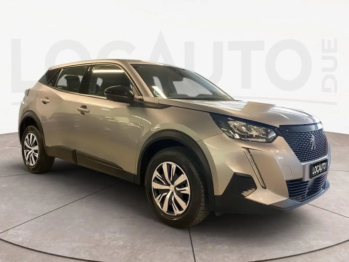 Peugeot 2008 usata a Torino (3)