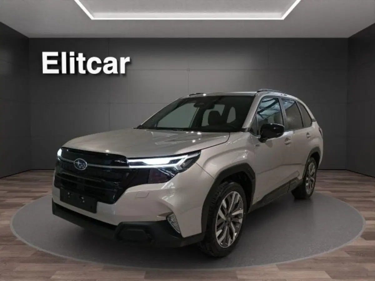 Subaru Forester nuova a Novara