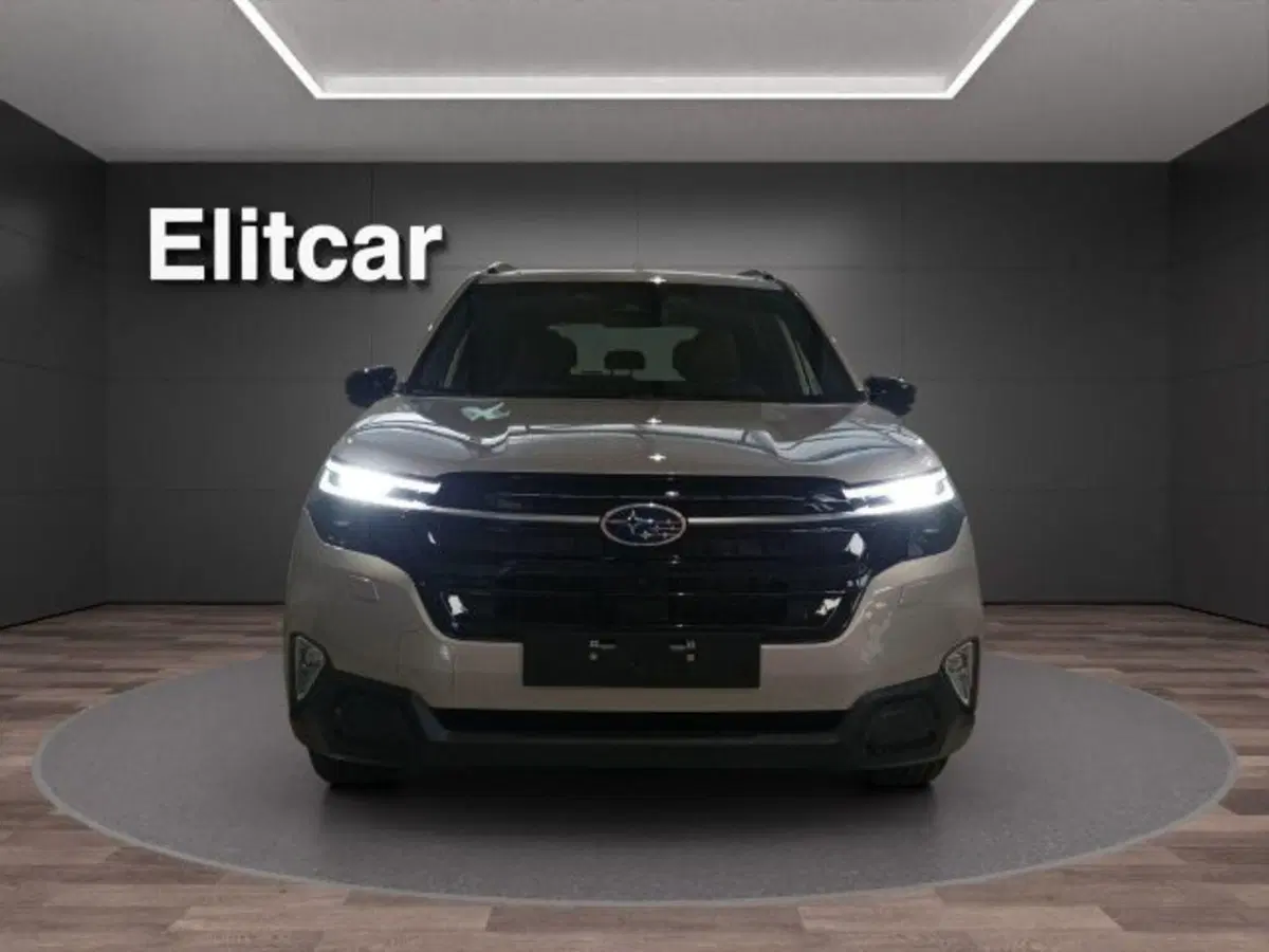 Subaru Forester nuova a Novara (2)