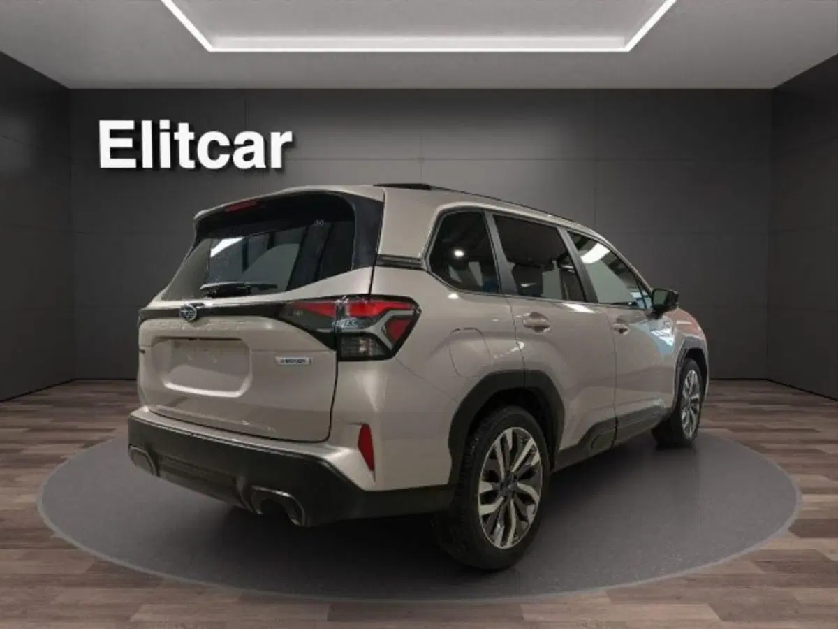 Subaru Forester nuova a Novara (5)