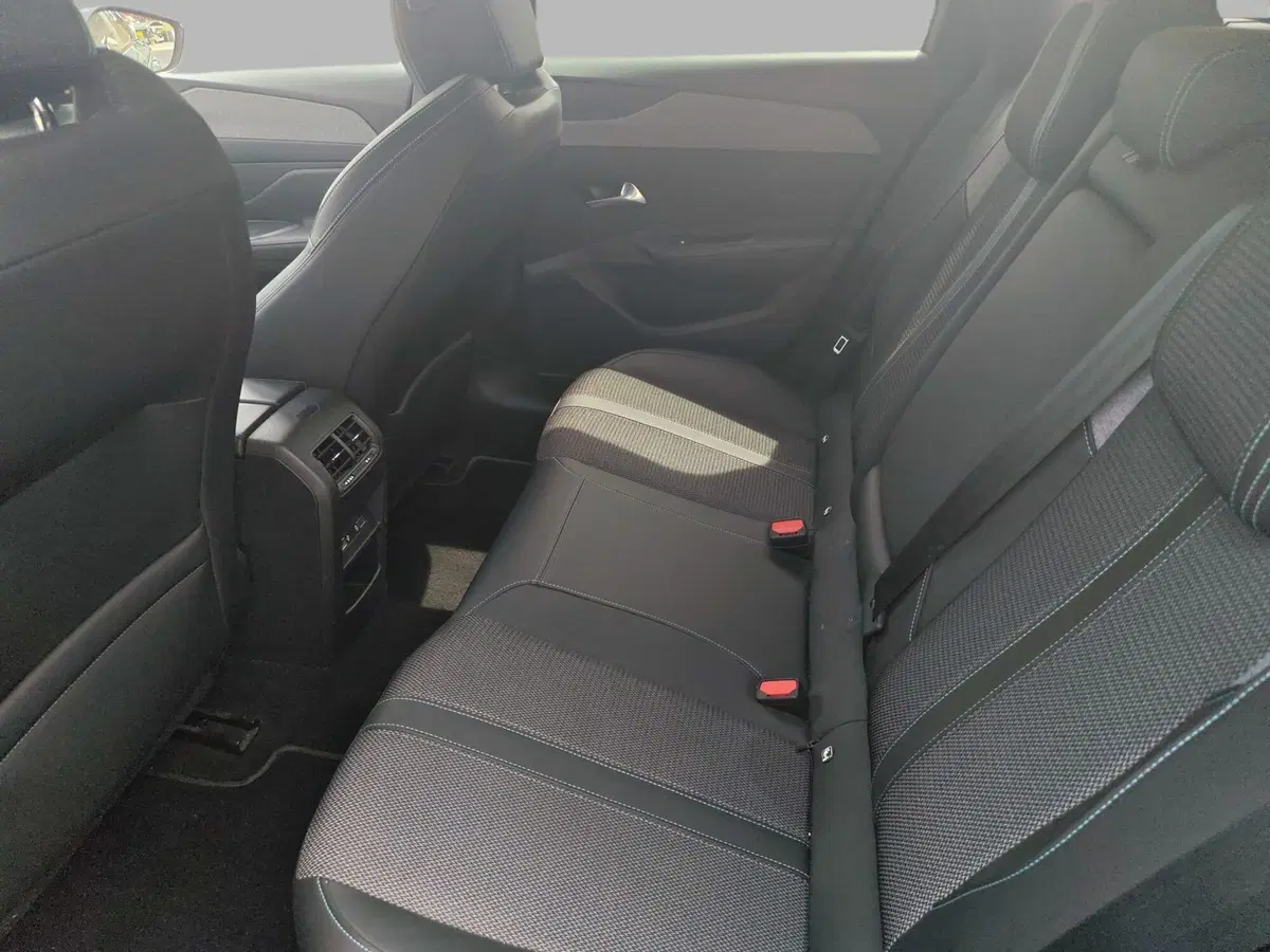 Peugeot 308 SW usata a Monza e Brianza (14)
