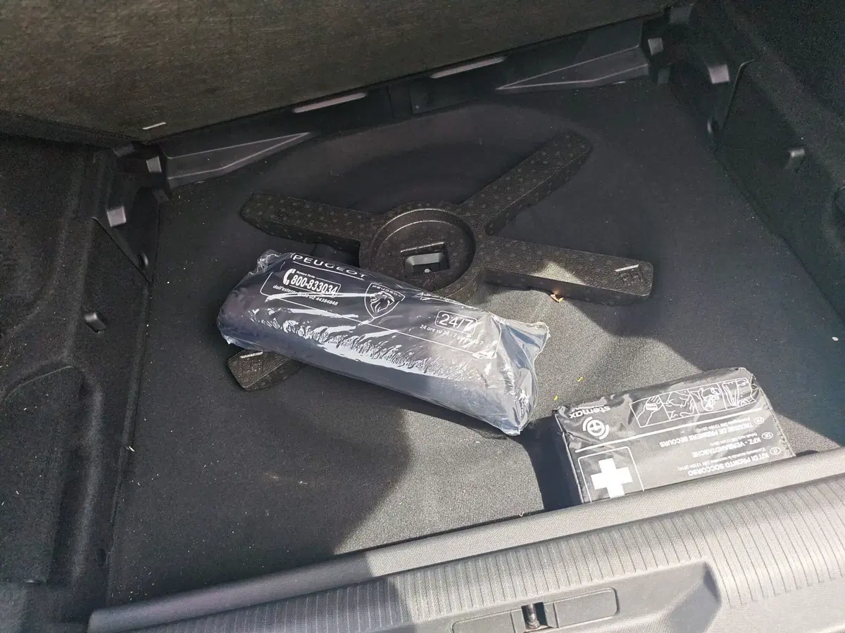 Peugeot 308 SW usata a Monza e Brianza (16)