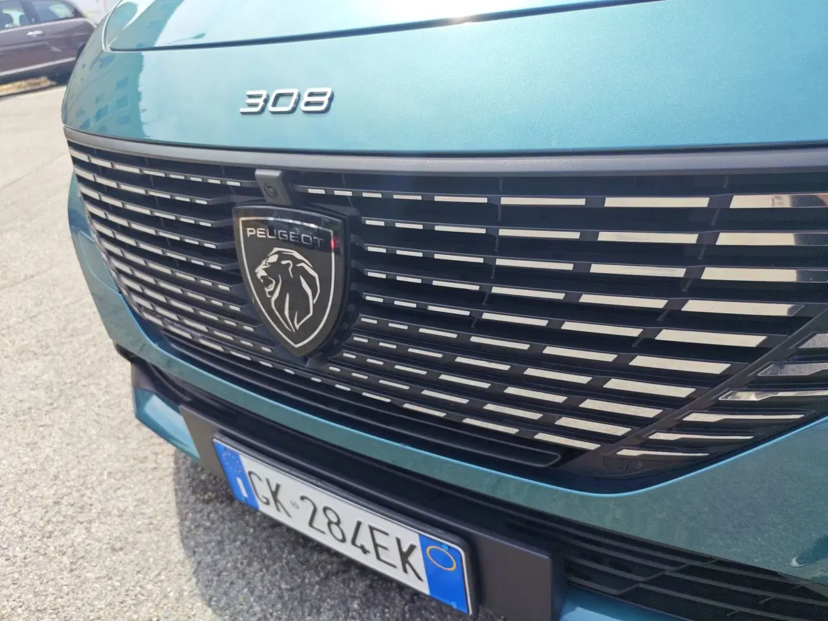 Peugeot 308 SW usata a Monza e Brianza (20)