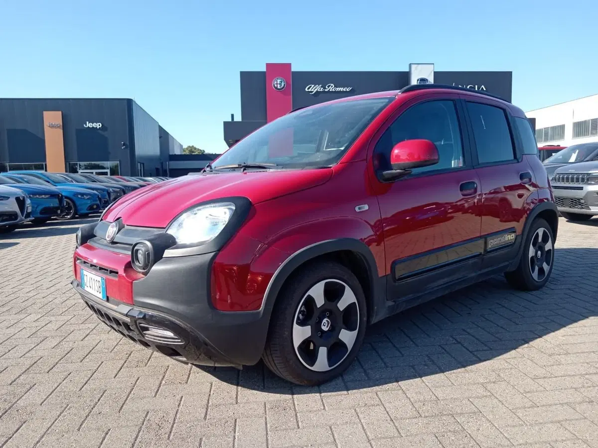 Fiat Panda Cross usata a Alessandria