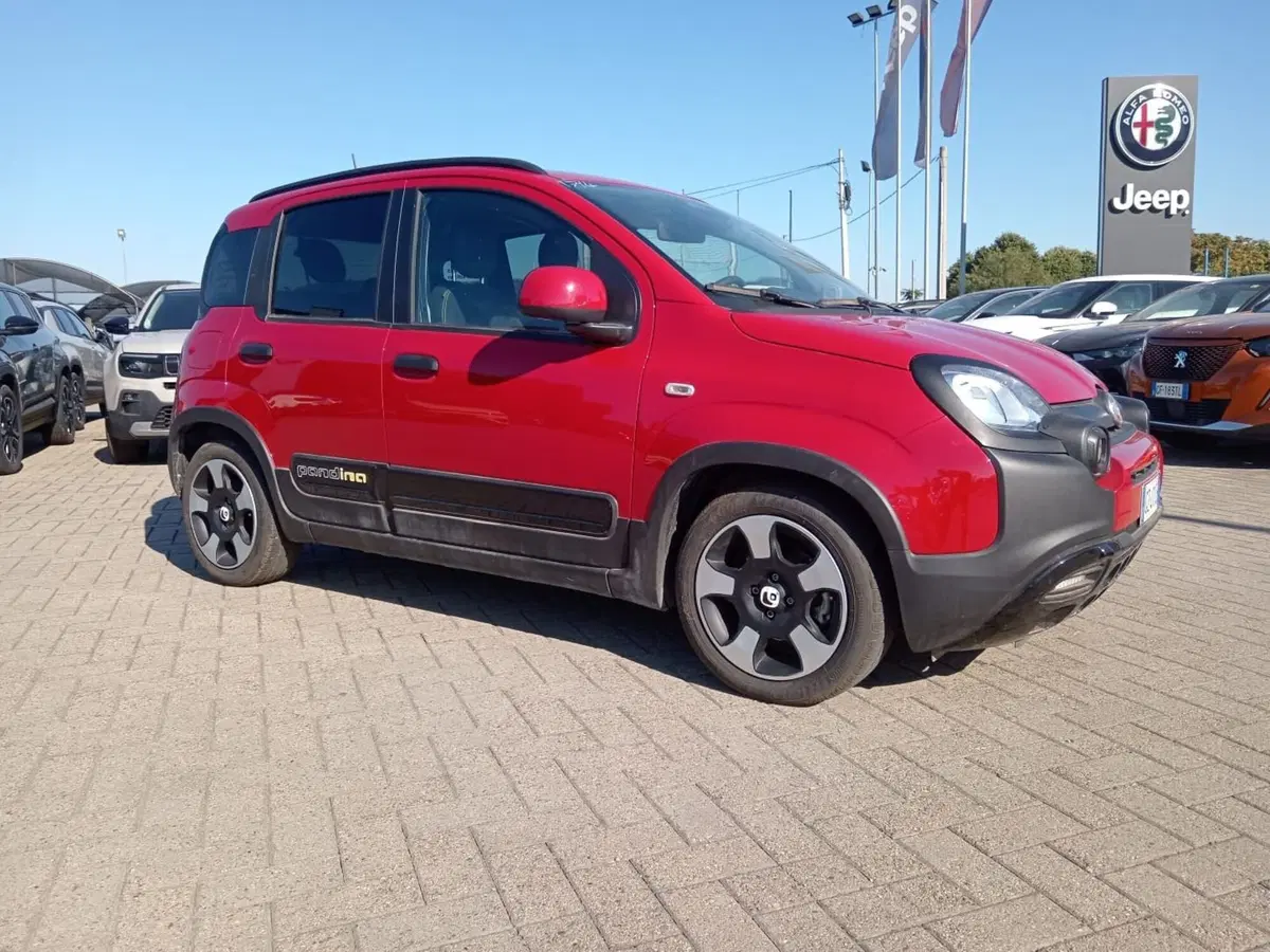 Fiat Panda Cross usata a Alessandria (3)