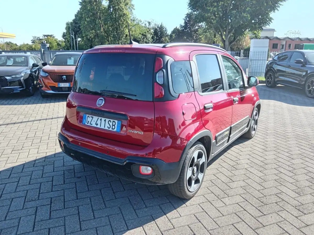 Fiat Panda Cross usata a Alessandria (4)
