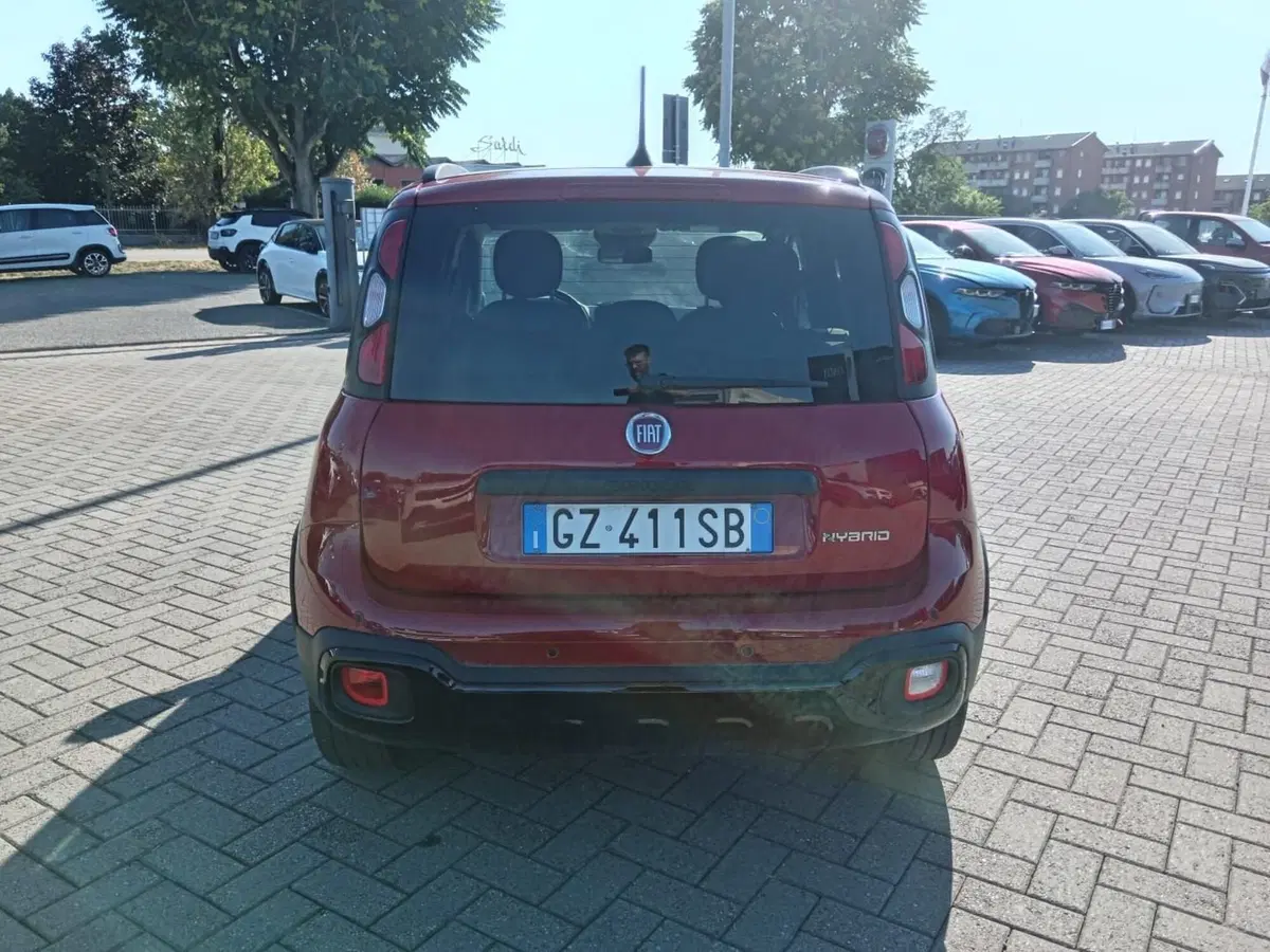 Fiat Panda Cross usata a Alessandria (5)