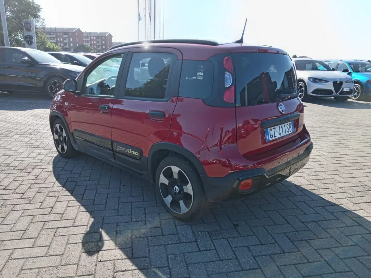 Fiat Panda Cross usata a Alessandria (6)