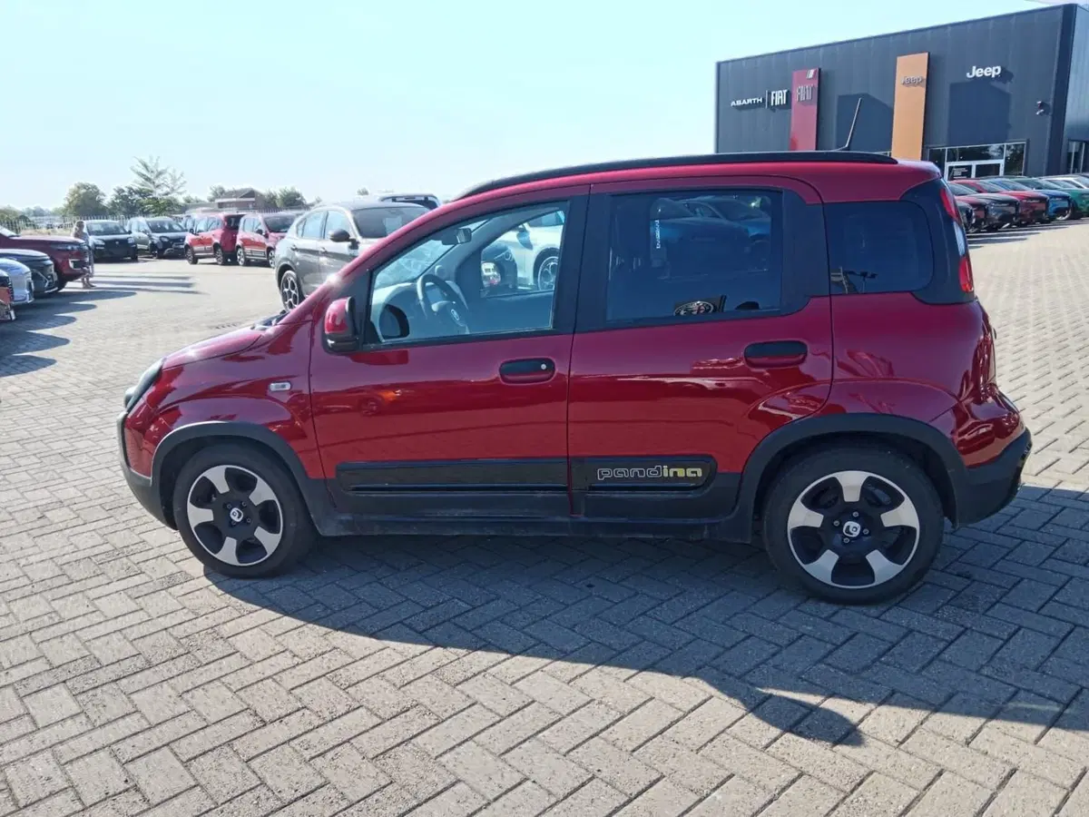 Fiat Panda Cross usata a Alessandria (7)