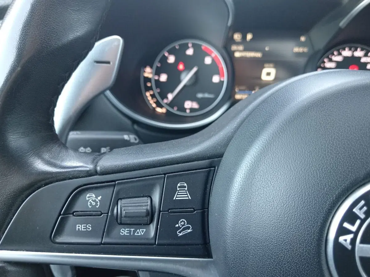 Alfa Romeo Stelvio usata a Alessandria (18)