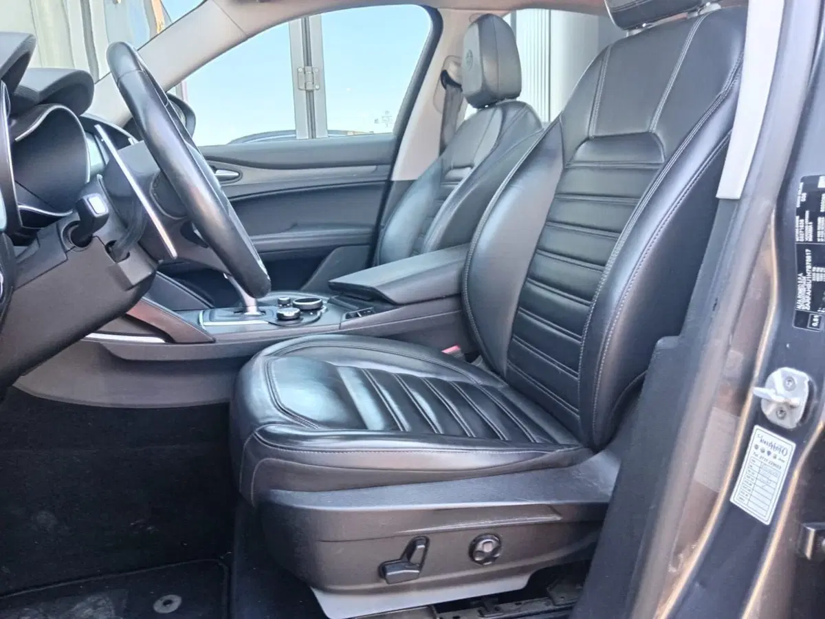 Alfa Romeo Stelvio usata a Alessandria (19)
