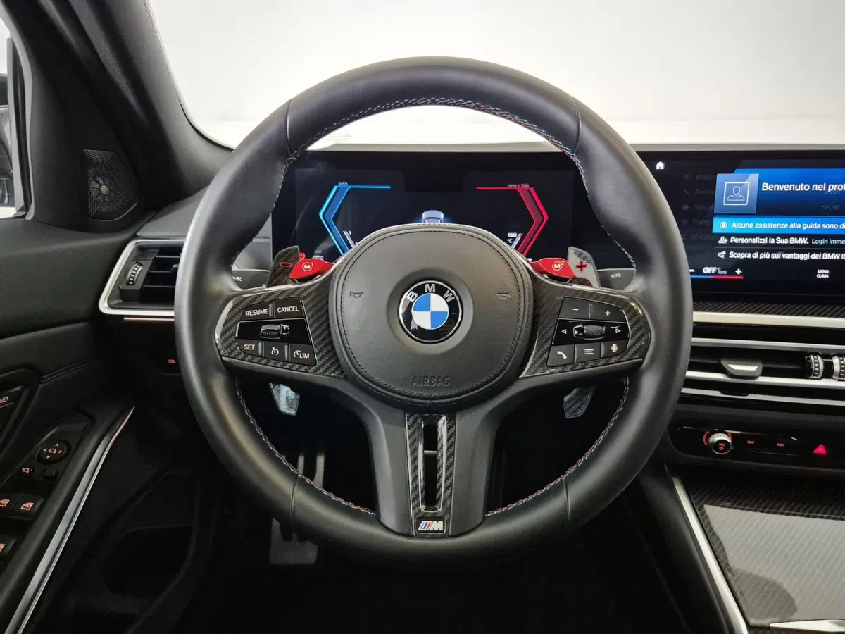 BMW Serie 3 usata a Torino (10)