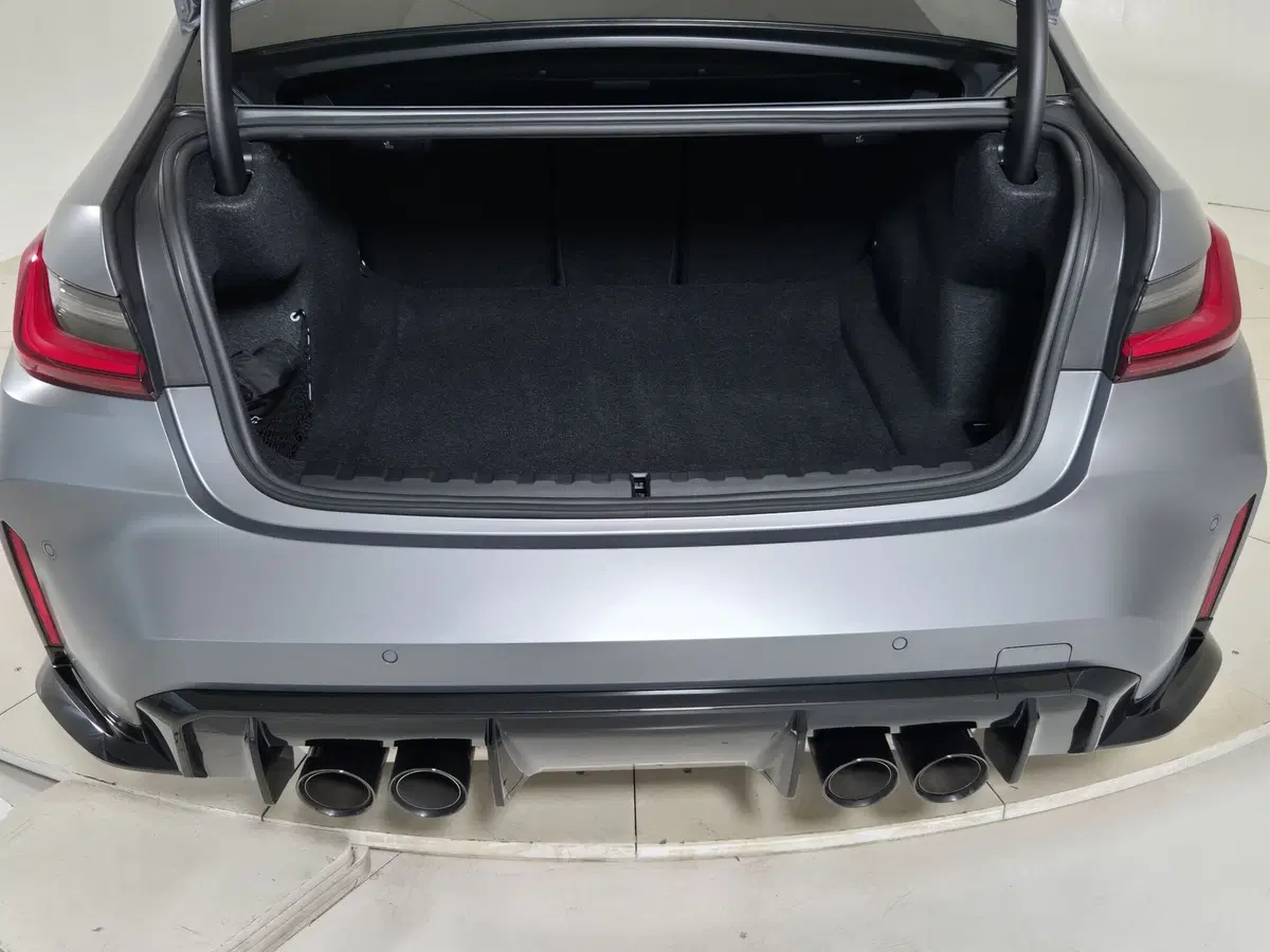 BMW Serie 3 usata a Torino (14)