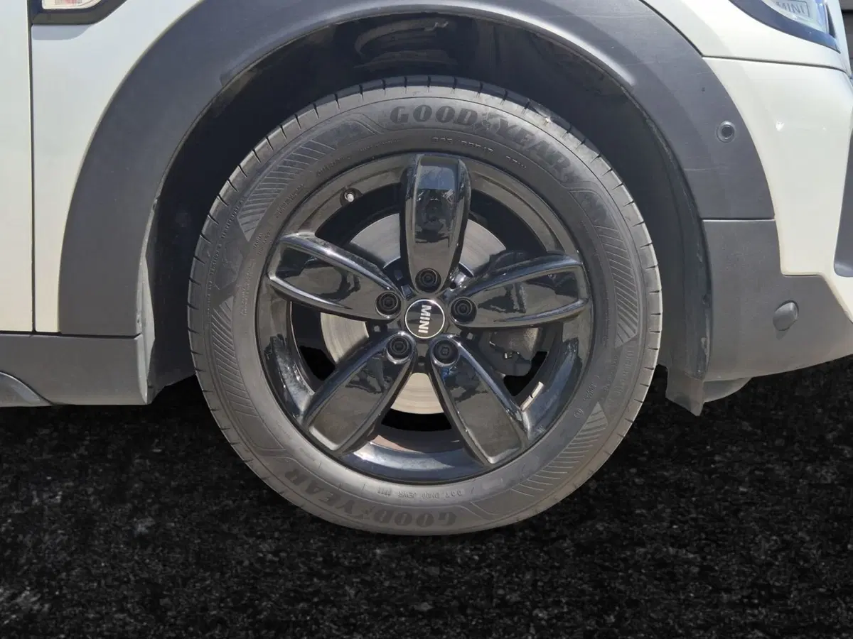 MINI Mini Countryman usata  (13)