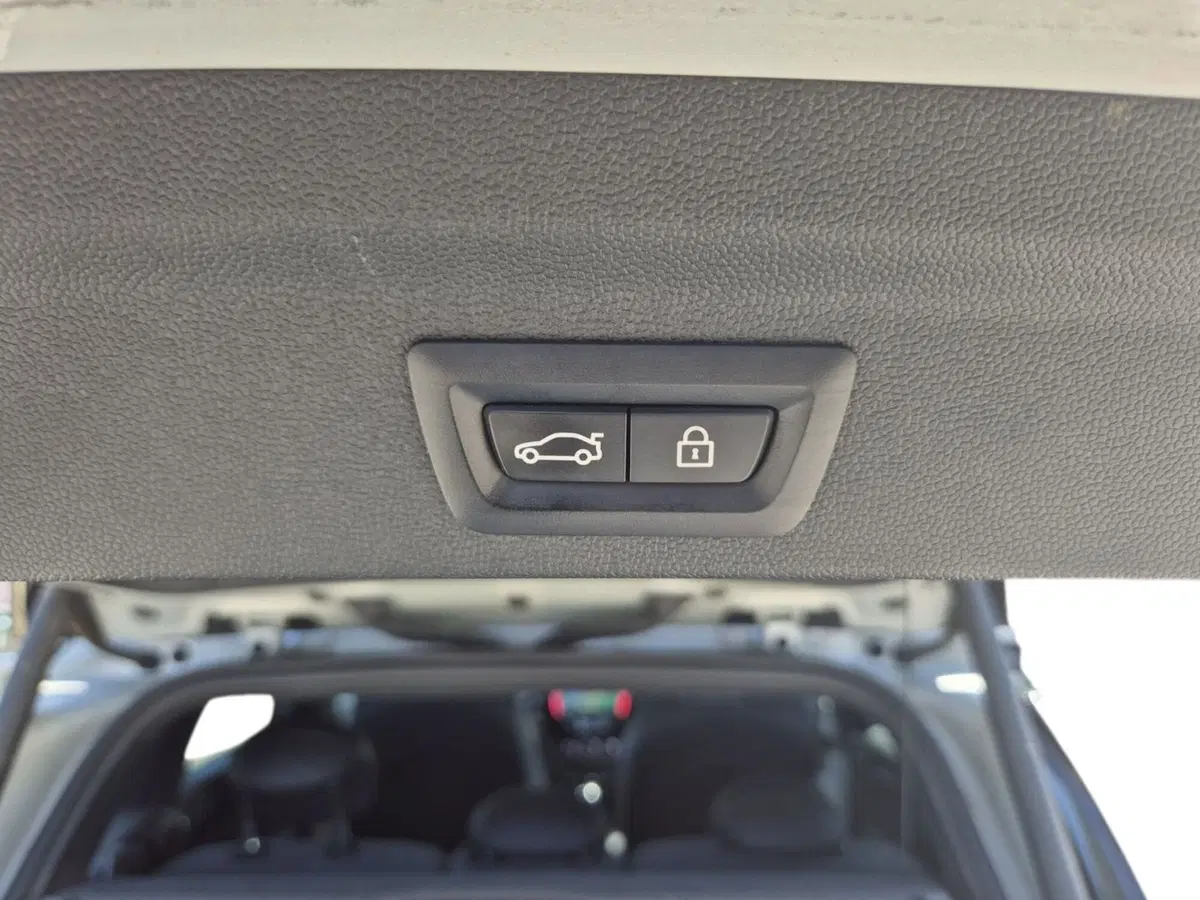 MINI Mini Countryman usata  (17)