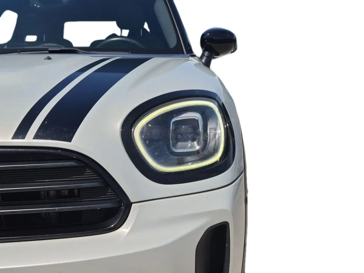 MINI Mini Countryman usata  (18)