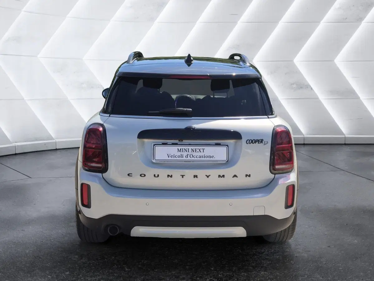 MINI Mini Countryman usata  (3)