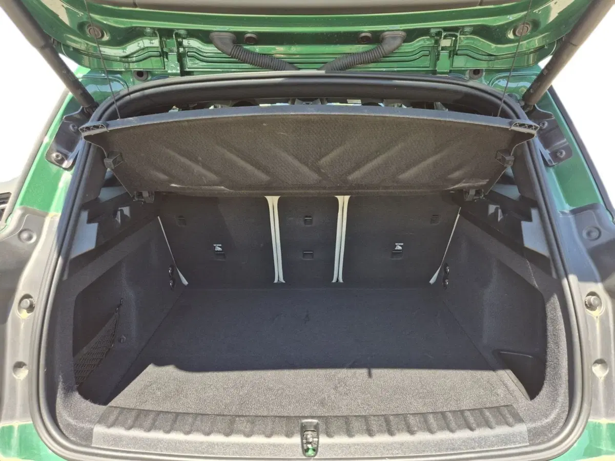 MINI Mini Countryman usata  (12)