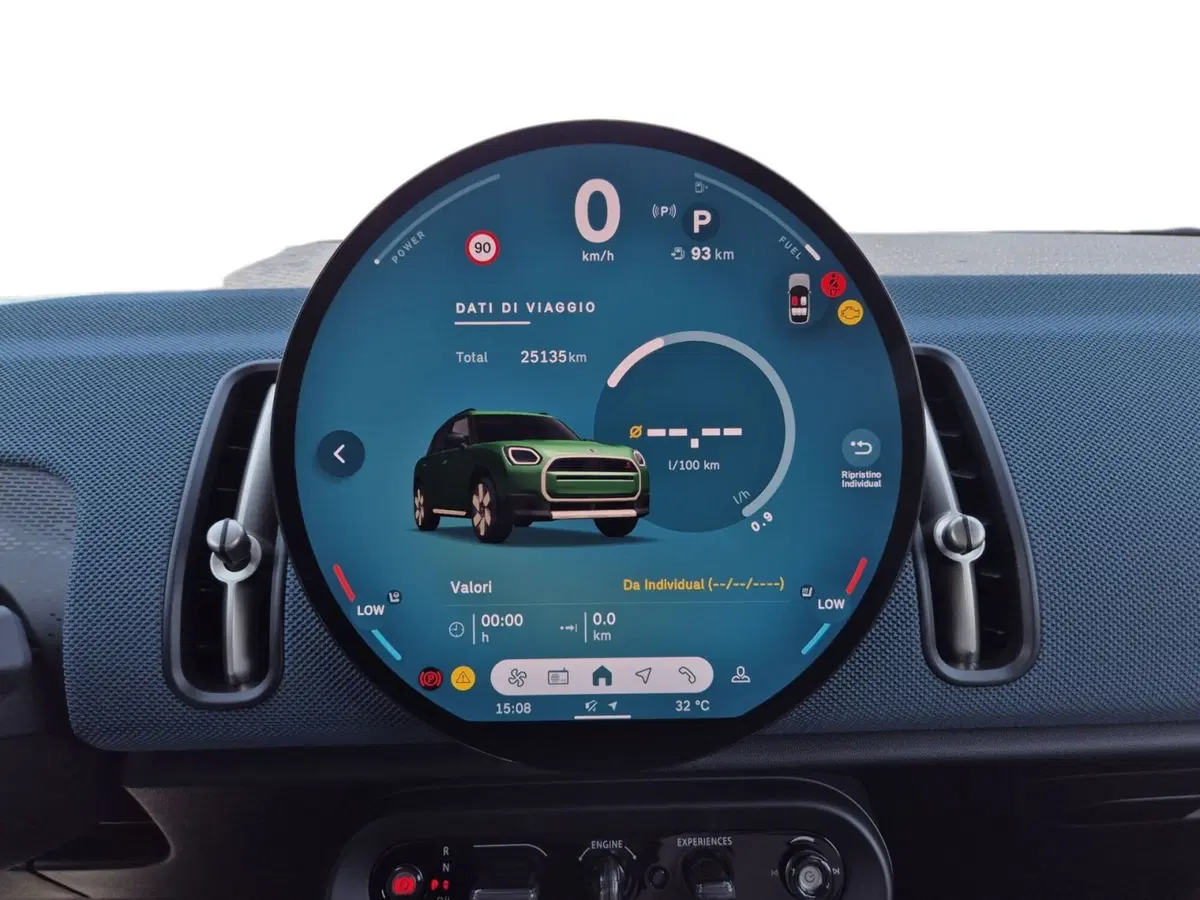 MINI Mini Countryman usata  (14)