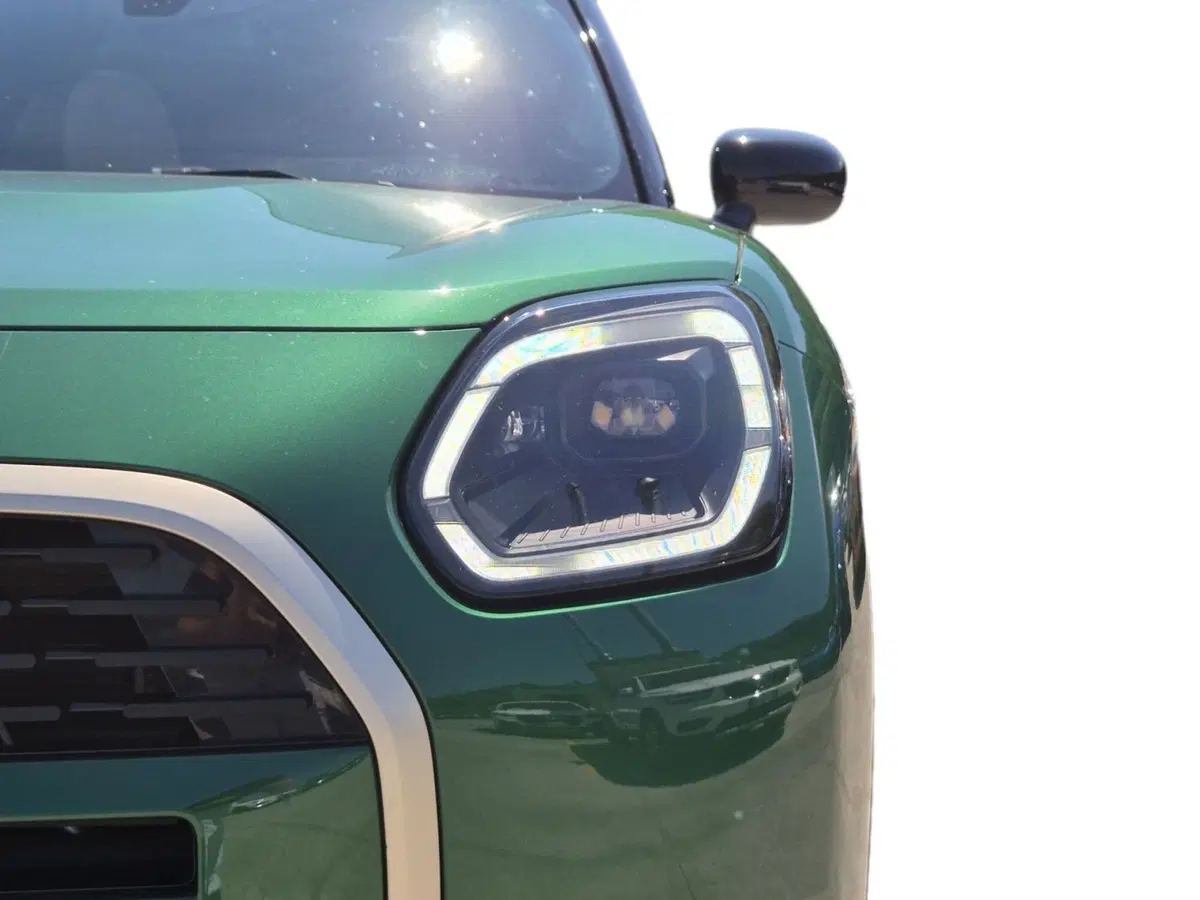 MINI Mini Countryman usata  (18)