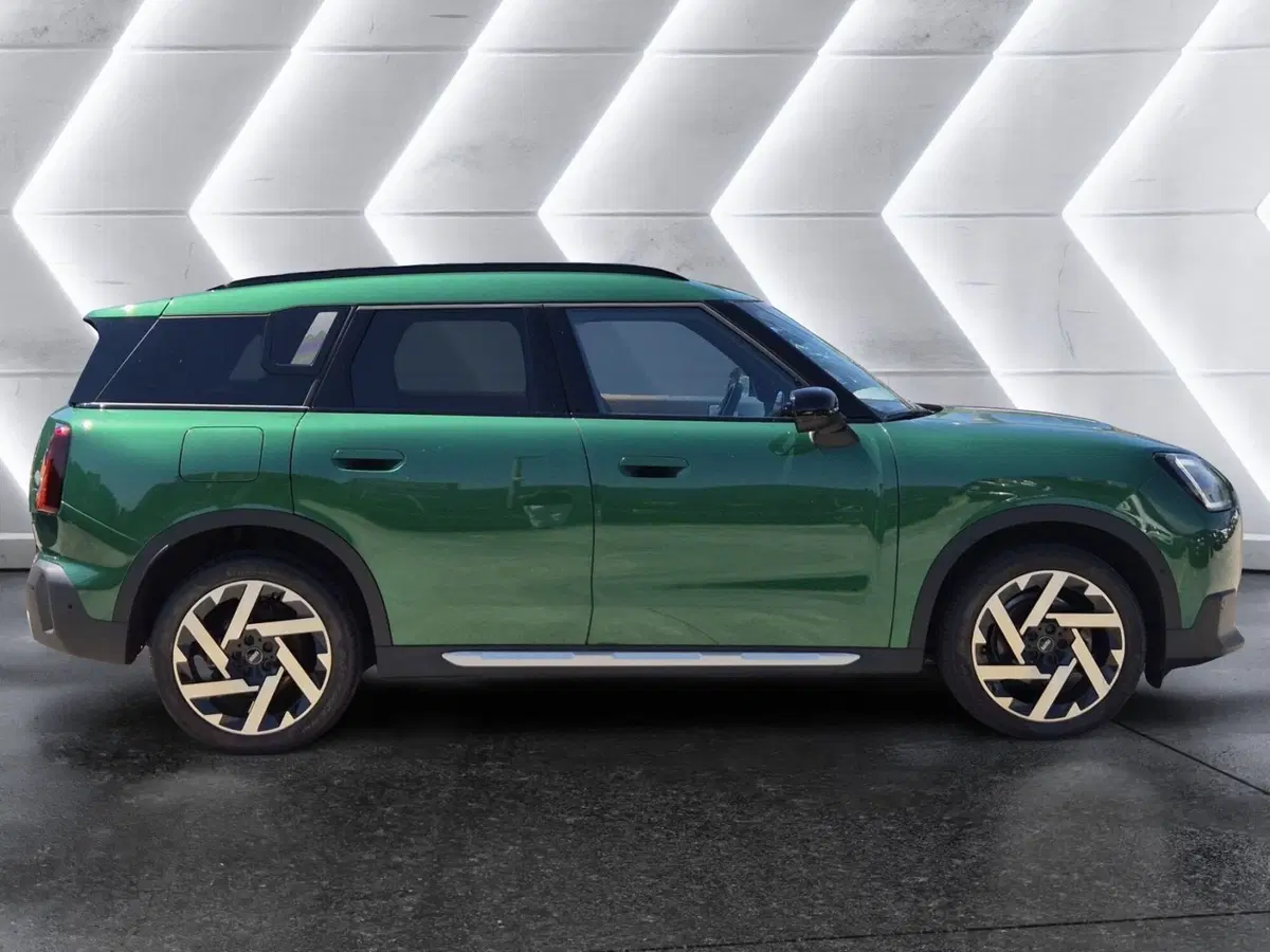 MINI Mini Countryman usata  (5)