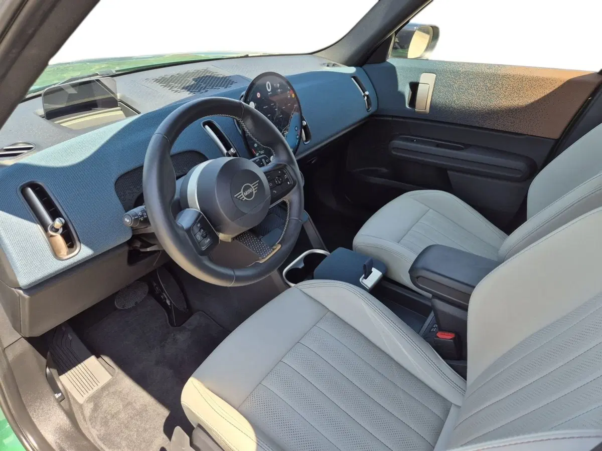 MINI Mini Countryman usata  (6)