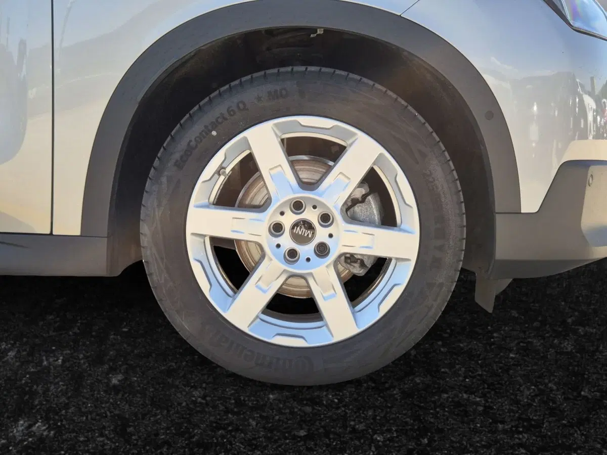 MINI Mini Countryman usata  (13)