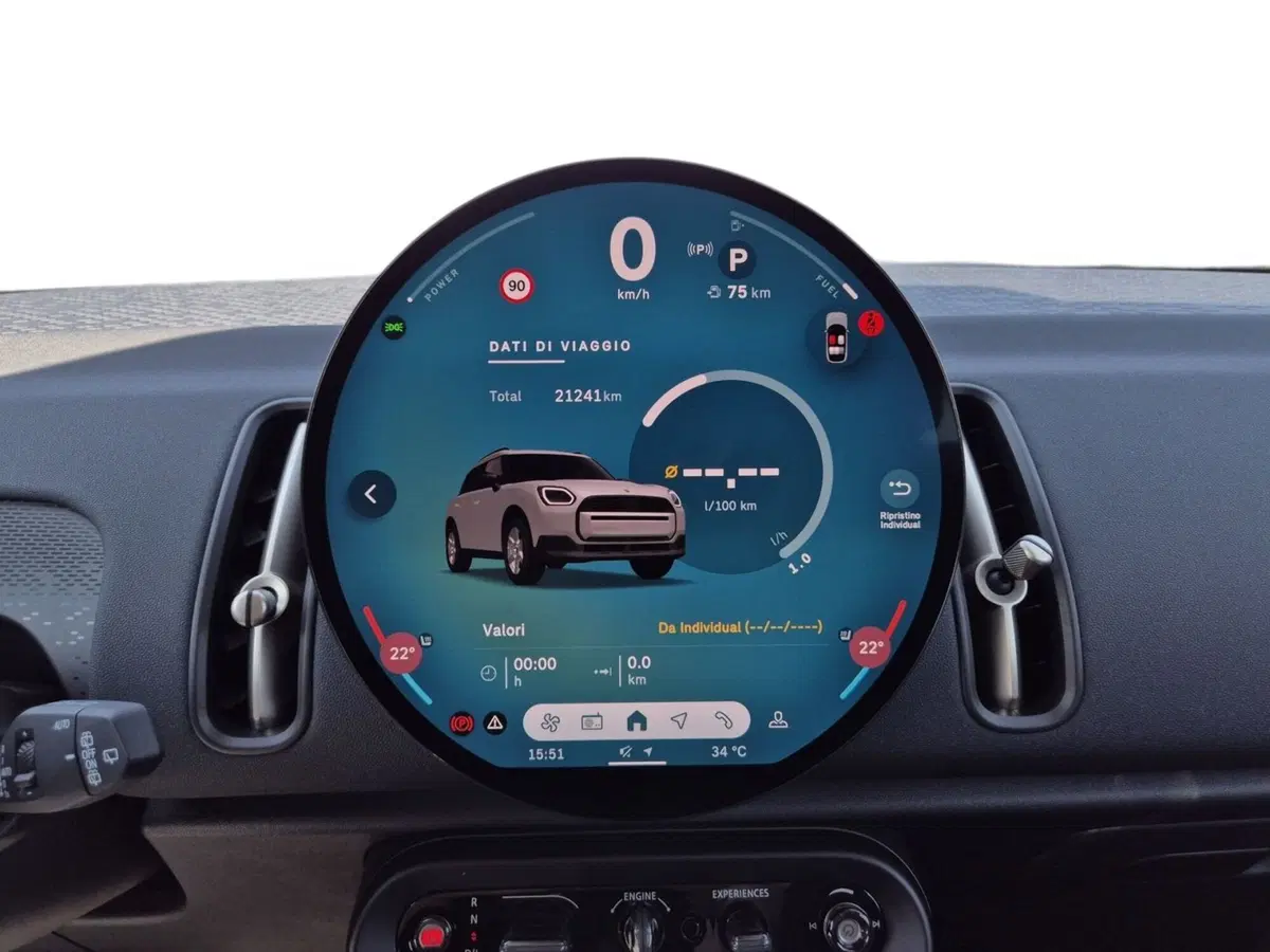 MINI Mini Countryman usata  (14)