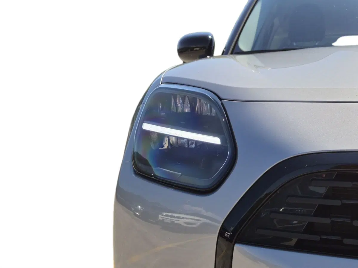 MINI Mini Countryman usata  (18)